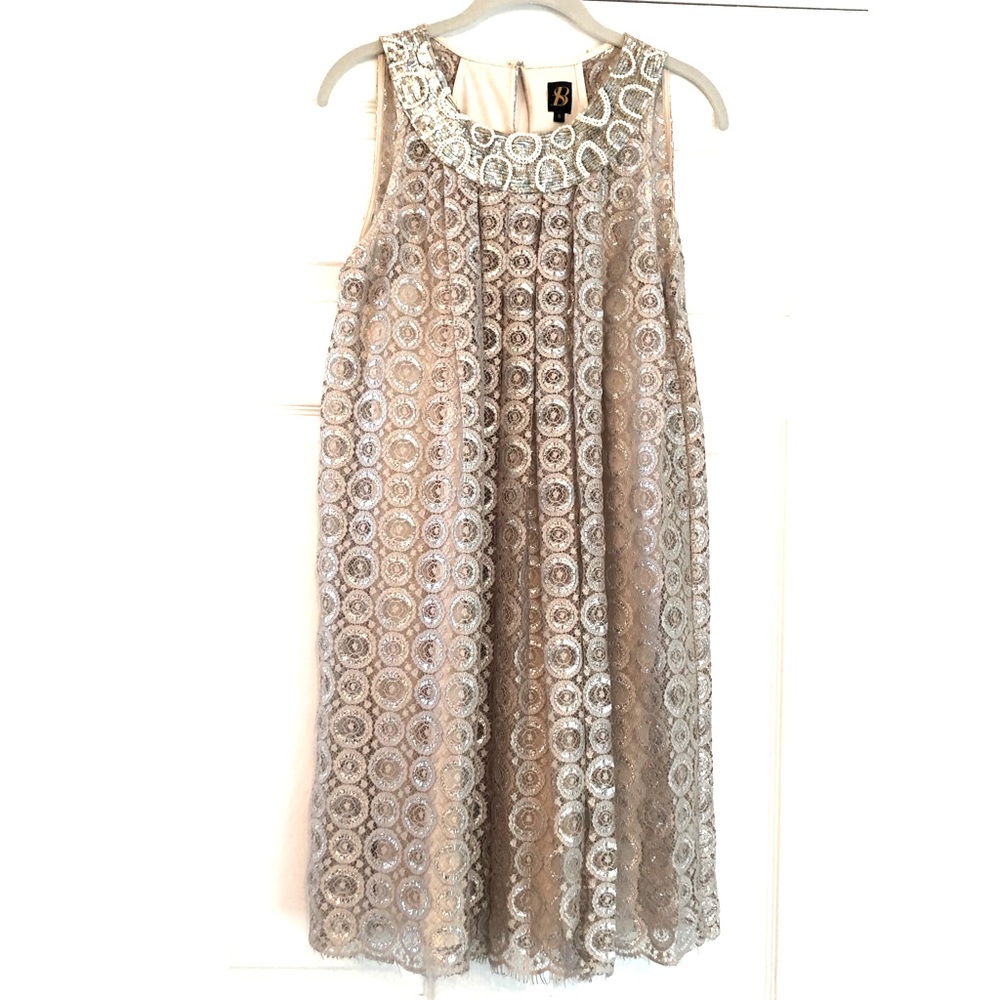 Anthropologie Metallic Silver Embroidered A-Line Dress